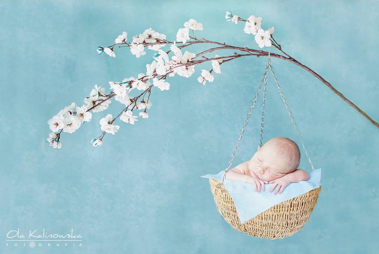 Newborn photosession