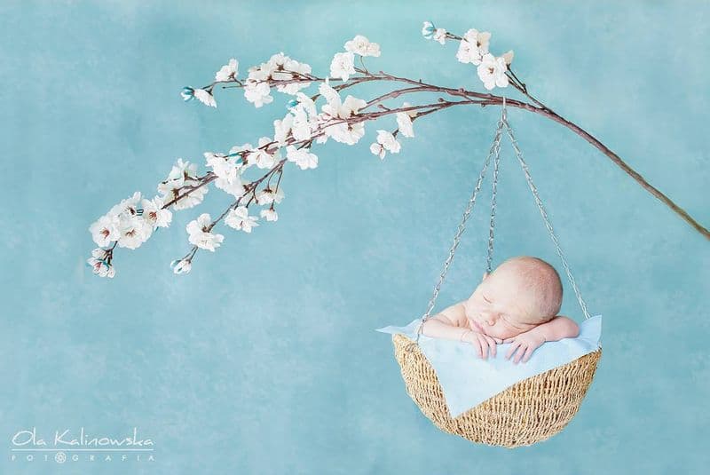 Newborn photosession