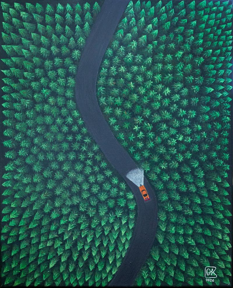 A bird's-eye view of a spruce forest, cut through by a road along which an orange car is driving.